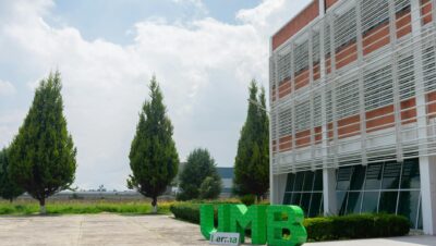 pexels photo 36363659 2